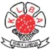 主队