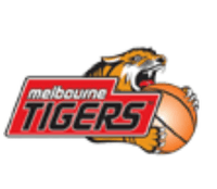 墨尔本猛虎