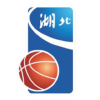 主队