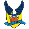 锡比乌CSU B